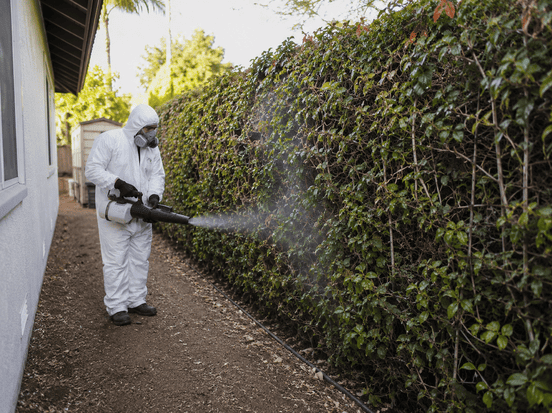 Traitement anti moustique à Nîmes dans un jardin